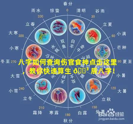 八字如何查询伤官食神点击这里，教你快速算生 🌳 辰八字！